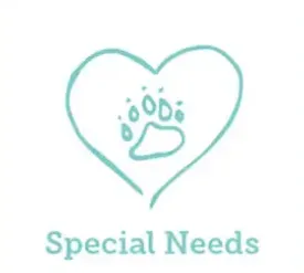 Special Needs at Oak Mountain Pediatric Dentistry